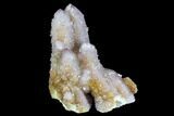 Cactus Quartz (Amethyst) Crystals - South Africa #122355-1